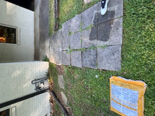 Square concrete pavers beside a brick wall with uneven joints and weeds growing between stones